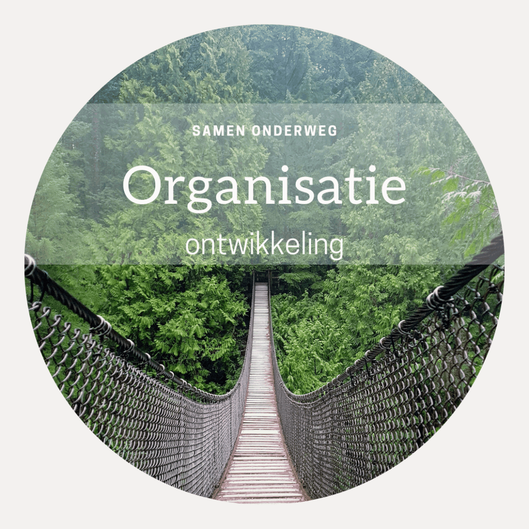 Organisatieontwikkeling en teamcoaching